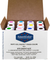 AmeriColor student kit front packaging showing twelve gel bottles and clear labels for quick selection