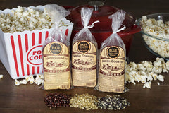 Close-up of red, white and blue popcorn kernels from Amish Country Popcorn highlighting texture and color