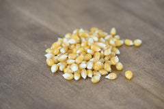 Amish Country Popcorn close-up of medium yellow kernels showing texture and uniformity