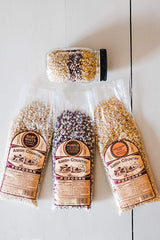 Amish Country Popcorn Purple kernels contrast emphasizing vibrant color and visual appeal