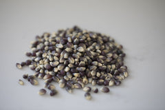 Amish Country Popcorn stovetop popping action demonstrating even heat and lively expansion