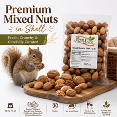 Anna and Sarah almond and hazelnut shell detail showing fresh appearance