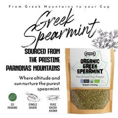 APSOGO close-up of dried spearmint leaves highlighting texture and fresh oils