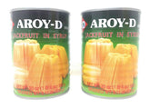 Aroy-D canned jackfruit front can showing label and two-pack convenience