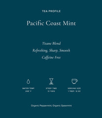 Art of Tea steaming cup of Pacific Coast Mint delivering calming warmth