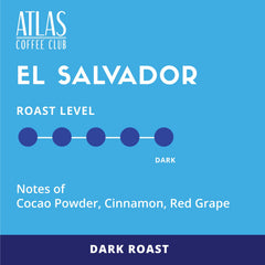 Atlas Coffee Club pod close-up highlighting rich grind and stronger flavor
