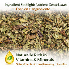 B-Experts brewed cup of dandelion tea displaying warm color and calming sip
