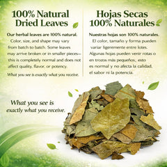 B-Experts leaves measured on kitchen scale showing 4 oz quantity for many cups