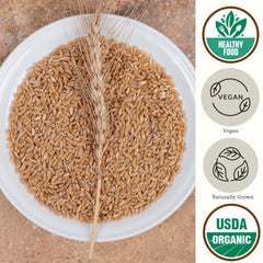 Close-up of Be Still Farms hulled barley groats highlighting whole-grain texture and freshness