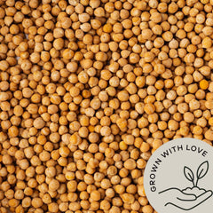 Be Still Farms creamy hummus made from their chickpeas illustrating smooth result