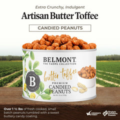 Belmont Peanuts close-up of glossy butter toffee glaze enhancing sweetness