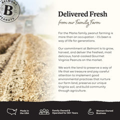 Belmont Peanuts held in hand to show kernel size and portion clarity benefit