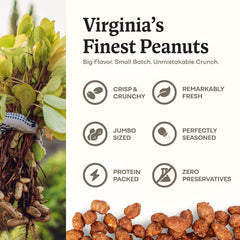 Belmont Peanuts close detail of crunchy large Virginia peanut texture