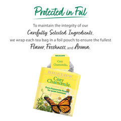 Bigelow Cozy Chamomile tea bag steeping in cup delivering a soothing warm cup