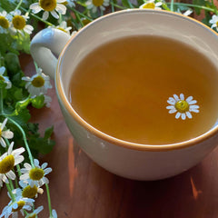 Bigelow Cozy Chamomile close-up of individually wrapped tea bag preserving aroma