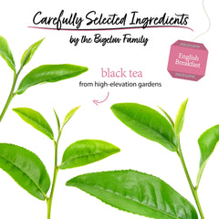 Foil-wrapped Bigelow tea bag opened to show sealed freshness and portable convenience