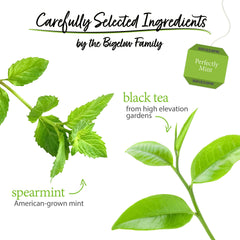Bigelow loose tea leaves close-up highlighting blend texture and mint flecks for flavor