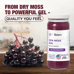 Biolore gel blended into smoothie demonstrating convenient daily use