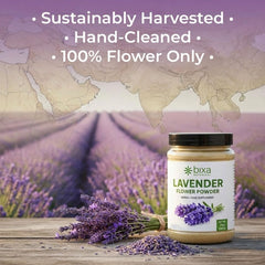 bixa BOTANICAL powder on measuring spoon for precise culinary use