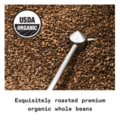 Blue Bottle Coffee whole beans close-up highlighting roast color and texture