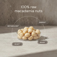 Blueprint Bryan Johnson macadamias beside a coin for size and portion clarity