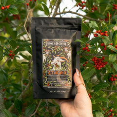 Bones Coffee Company Colombia grounds in French press illustrating balanced caramel flavor