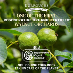 Burroughs Family Farms open bag spilling raw walnuts, highlighting freshness