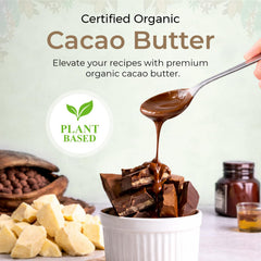 Close-up of Cacao Life kibble texture highlighting easy-measure and fast melting