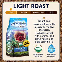 Cafe Don Pablo pour-over brew showcasing bright floral notes and clarity