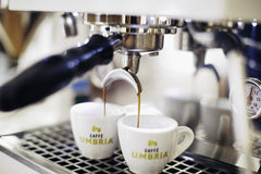 CAFFÈ UMBRIA brewed cup of Mezzanotte decaf showing crema and milk swirl, for balanced drinks