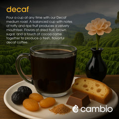 Cambio Roasters ground coffee texture in pod demonstrating rich, organic aroma