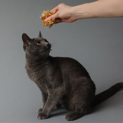 Life Essentials by Cat-Man-Doo flakes sprinkled over kibble to increase palatability and appeal