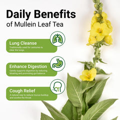 CCnature close-up of plant-based tea bag with pure mullein leaf
