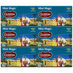 Celestial Seasonings front packaging showing six-box mint tea pack and benefits