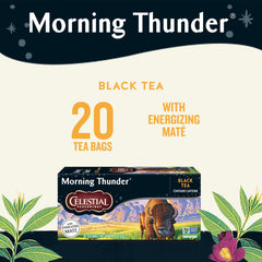 Celestial Seasonings tea bag close-up showing quality filter and no tags