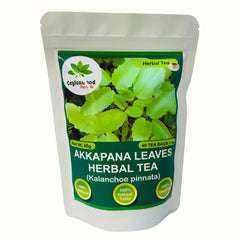 Ceylonwood Herbals dried Kalanchoe leaves texture close-up showing natural quality benefit