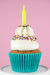 Chef's Quality close-up of rainbow nonpareils texture highlighting even color and crunch