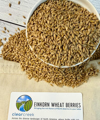 CLEAR CREEK wheat berries in scoop illustrating portioning and easy kitchen use