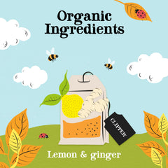 Clipper steeping cup releasing lemon and ginger aroma for a warming, fragrant drink