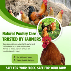 Coclara jar next to egg to show 1 lb scale and egg-safe benefit
