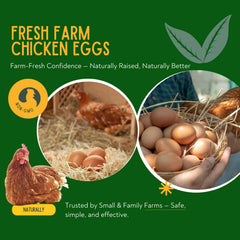 Coclara sprinkled on chicken feed demonstrating easy daily administration