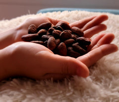 Colombian Cacao pile in wooden bowl showing crunch and natural snack appeal