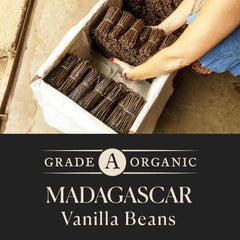 COOK'S vanilla bean seeds close-up revealing dense black seeds and intense aroma benefit