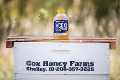 Cox's Honey pouring into tea to sweeten drinks naturally