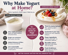 Cultures For Health thick strained Greek yogurt in a bowl, high-protein benefit