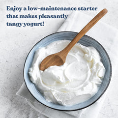 Cultures For Health yogurt in jar top view showing thick texture and homemade freshness