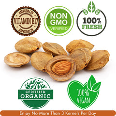 Cure Wid Pure split kernel detail showing inner seed for ingredient transparency
