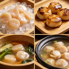 DABC OAK LAND scallops beside a ruler showing large size and serving guide