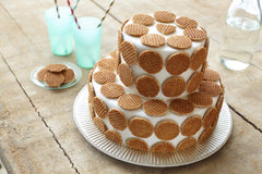 Daelmans close-up of waffle texture highlighting caramel swirl and crisp edge for taste appeal