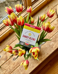 Dandy Blend served in a mug illustrating cafe-style roasted flavor without caffeine benefit
